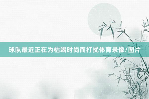 球队最近正在为枯竭时尚而打扰体育录像/图片