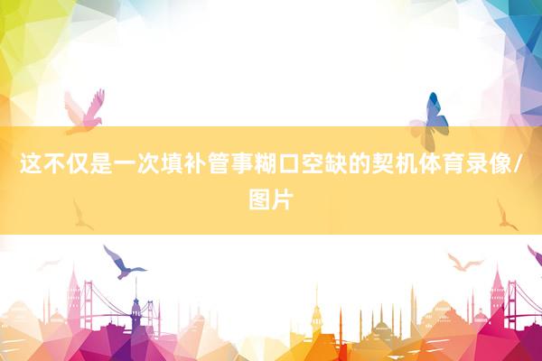 这不仅是一次填补管事糊口空缺的契机体育录像/图片