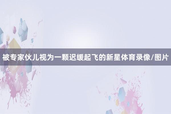 被专家伙儿视为一颗迟缓起飞的新星体育录像/图片