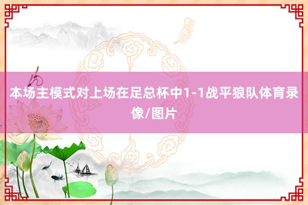 本场主模式对上场在足总杯中1-1战平狼队体育录像/图片